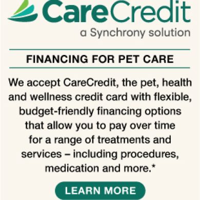 Visit the Care Credit Website