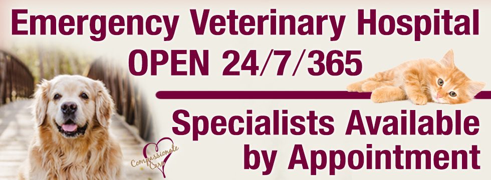 Open 24 hours a day, 7 days a week, 365 days a year for Emergency Care. Appointments with Specialists Available.